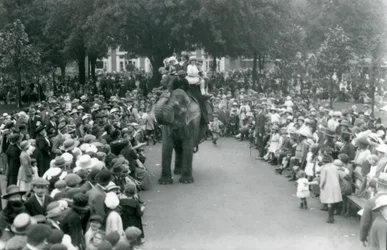 Crowds of Visitors Watch an Elephant Ride at London Zoo, August Bank Holiday